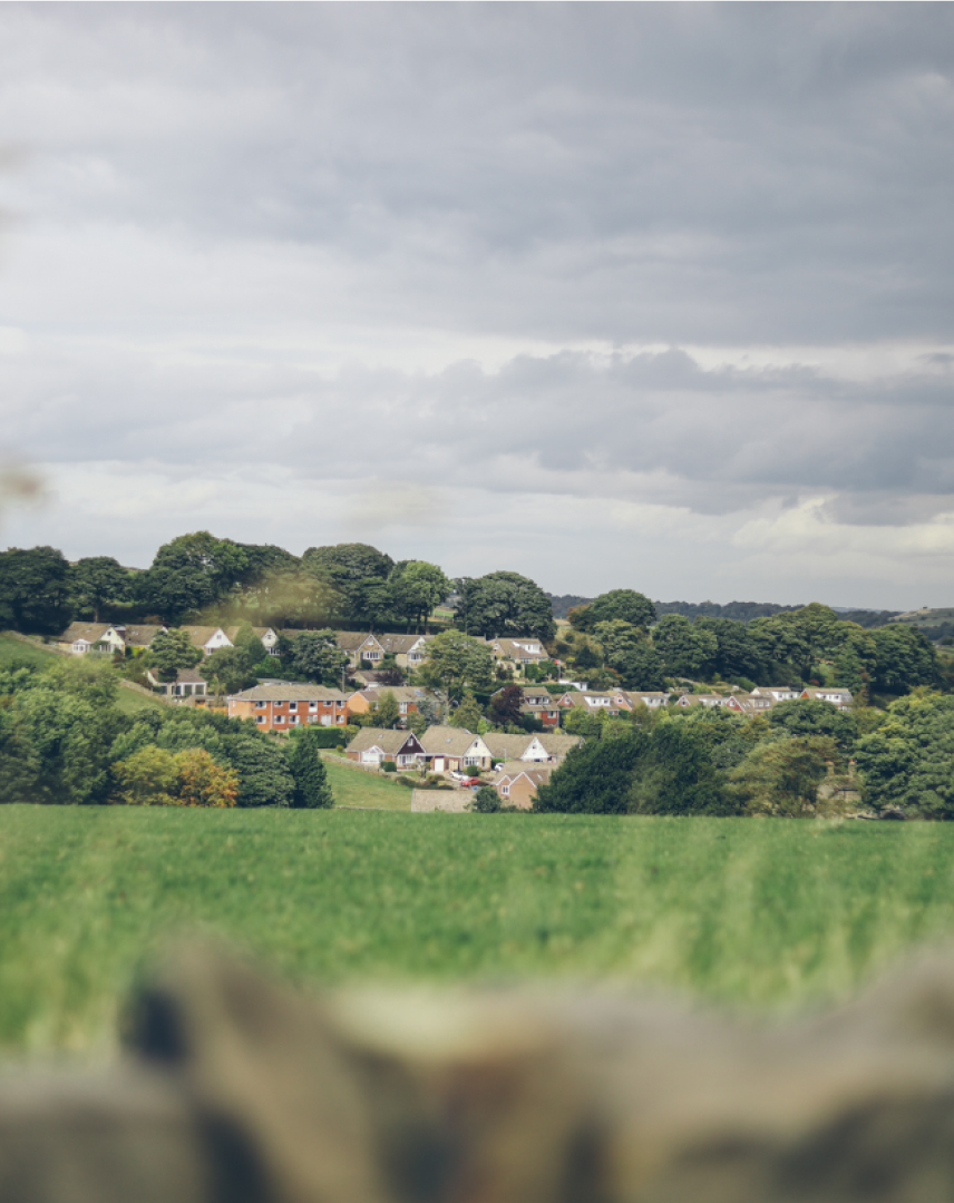 landscape picture