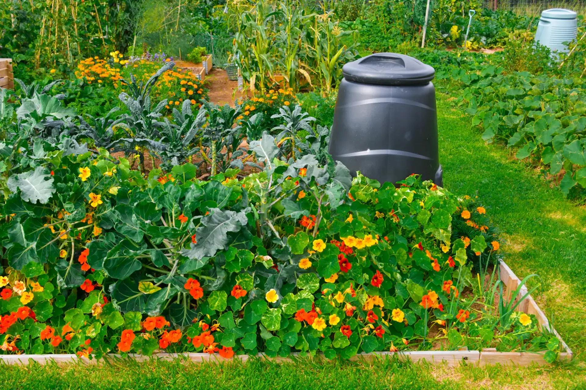 Summer gardens: why outdoor space can make your home shine
