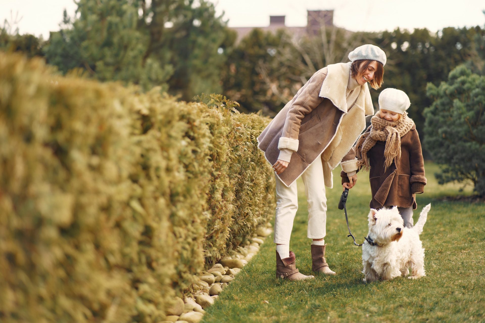 Unleashing Happiness: Yorkshire’s Best areas for Pet Owners