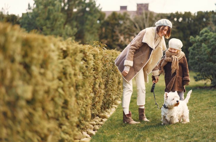 Unleashing Happiness: Yorkshire’s Best areas for Pet Owners