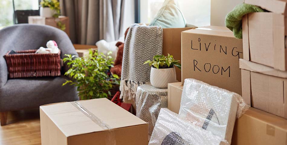 storage boxes